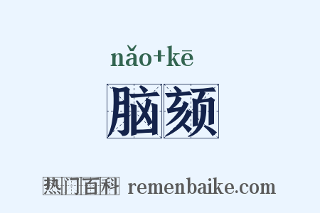 脑颏是什么意思的图片